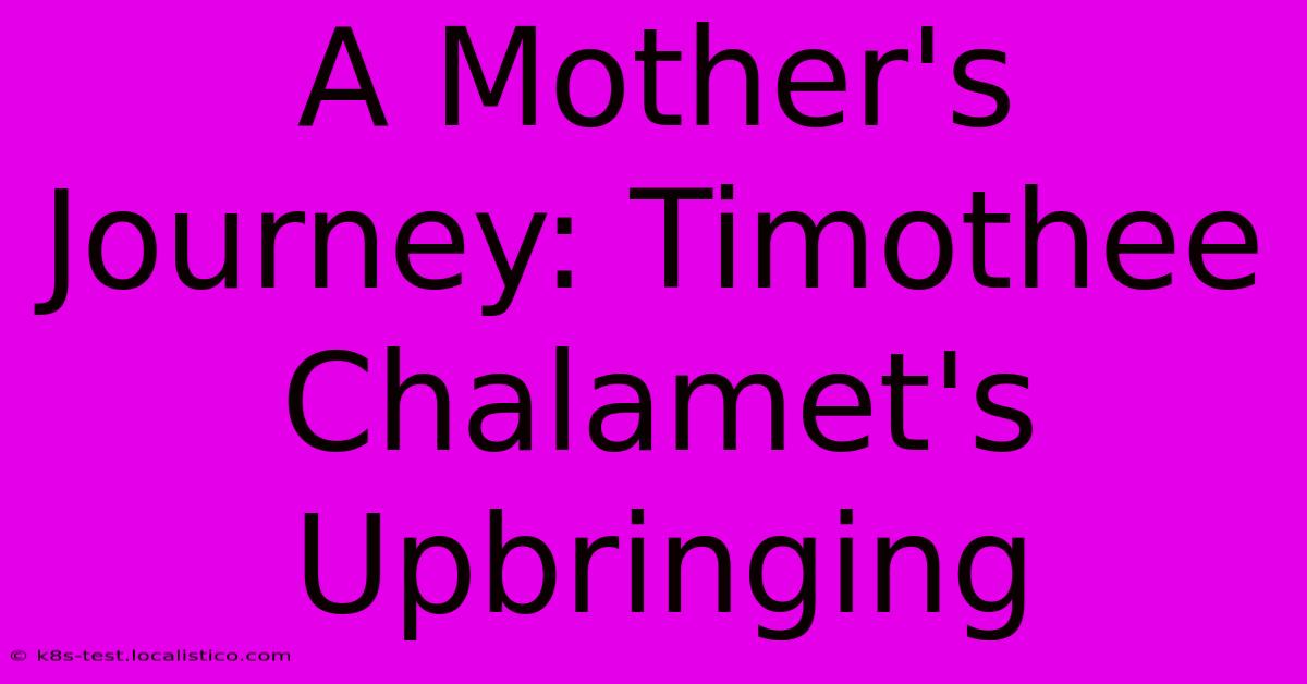 A Mother's Journey: Timothee Chalamet's Upbringing