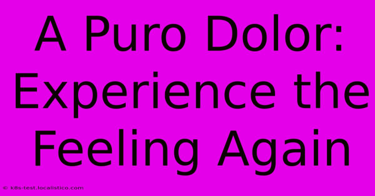 A Puro Dolor:  Experience The Feeling Again