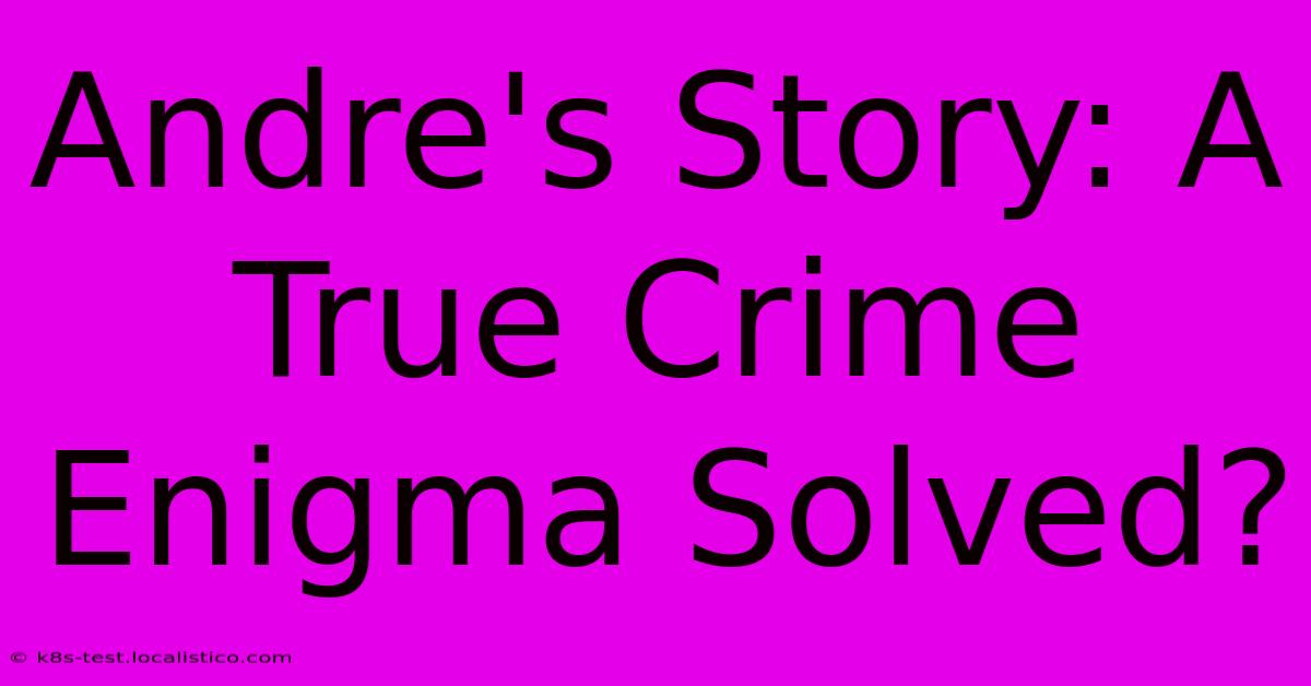 Andre's Story: A True Crime Enigma Solved?