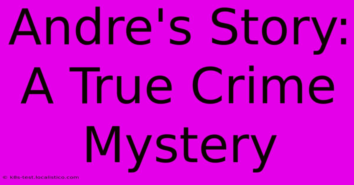 Andre's Story: A True Crime Mystery