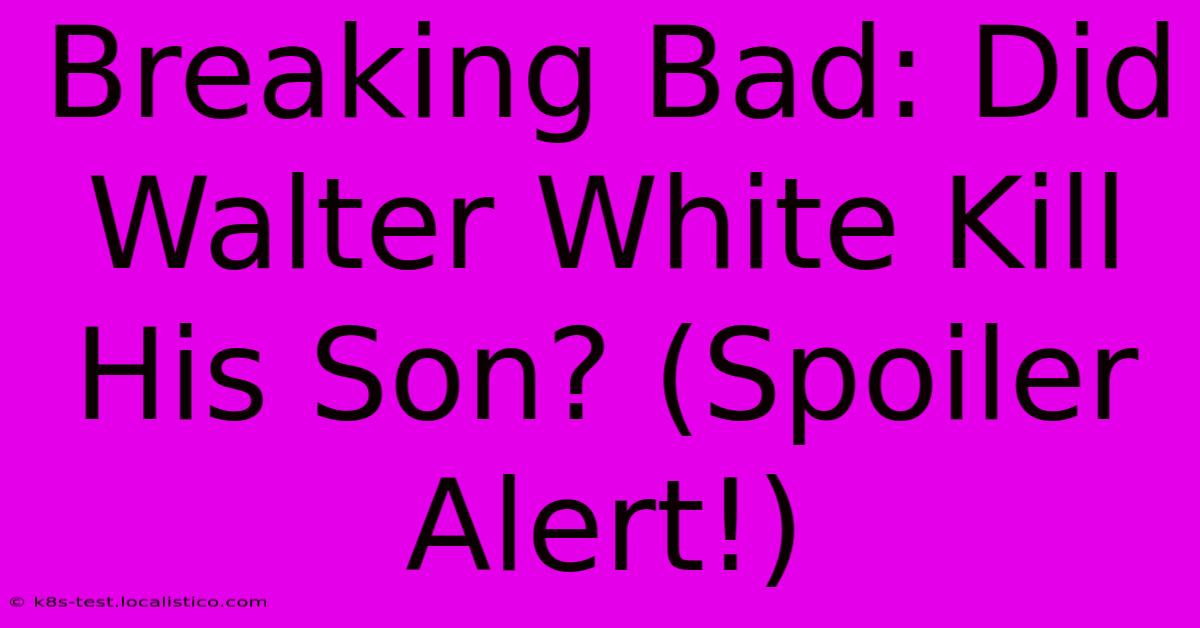 Breaking Bad: Did Walter White Kill His Son? (Spoiler Alert!)