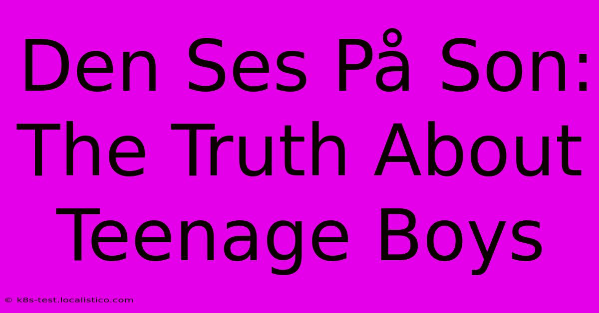 Den Ses På Son:  The Truth About Teenage Boys