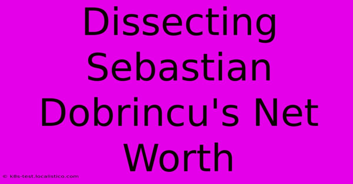 Dissecting Sebastian Dobrincu's Net Worth