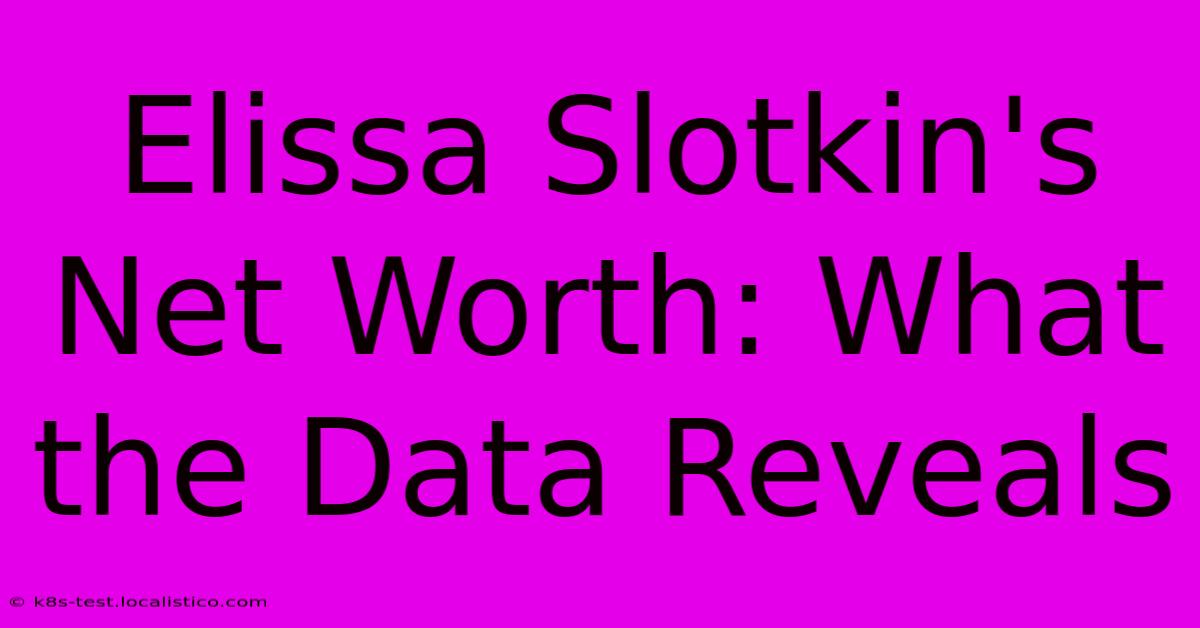 Elissa Slotkin's Net Worth: What The Data Reveals