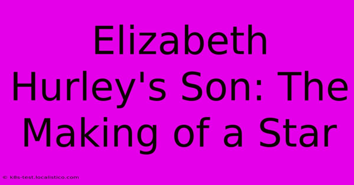 Elizabeth Hurley's Son: The Making Of A Star