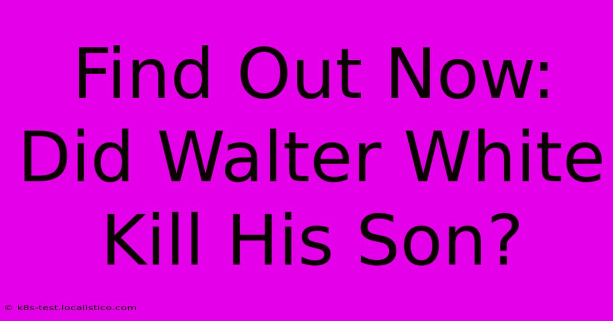 Find Out Now: Did Walter White Kill His Son?