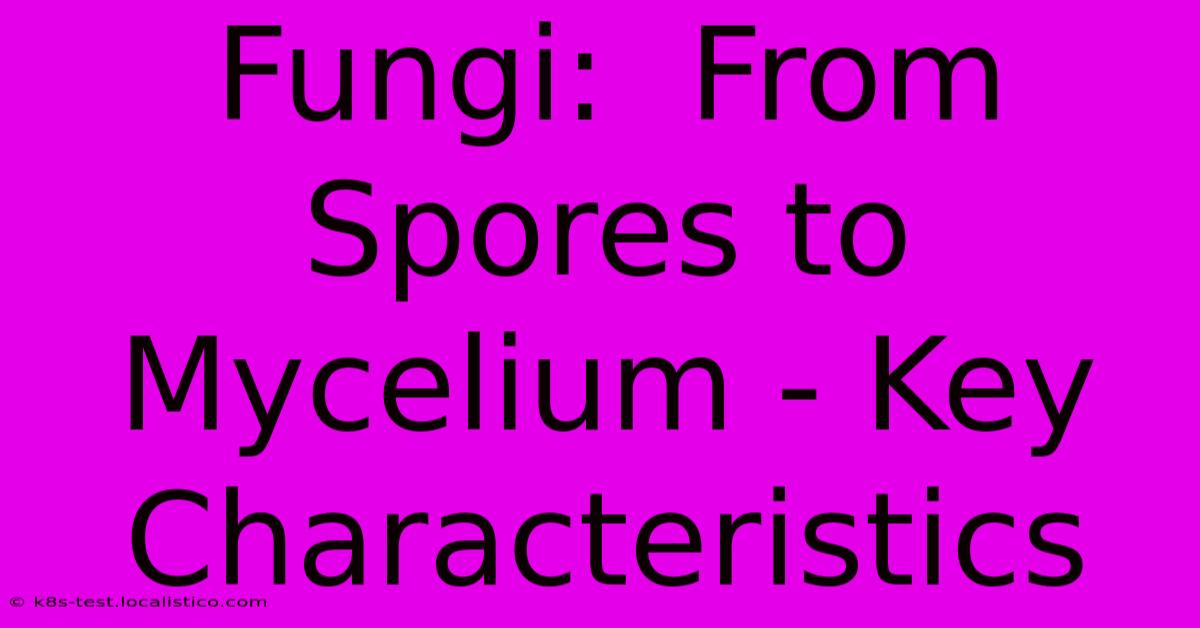 Fungi:  From Spores To Mycelium - Key Characteristics