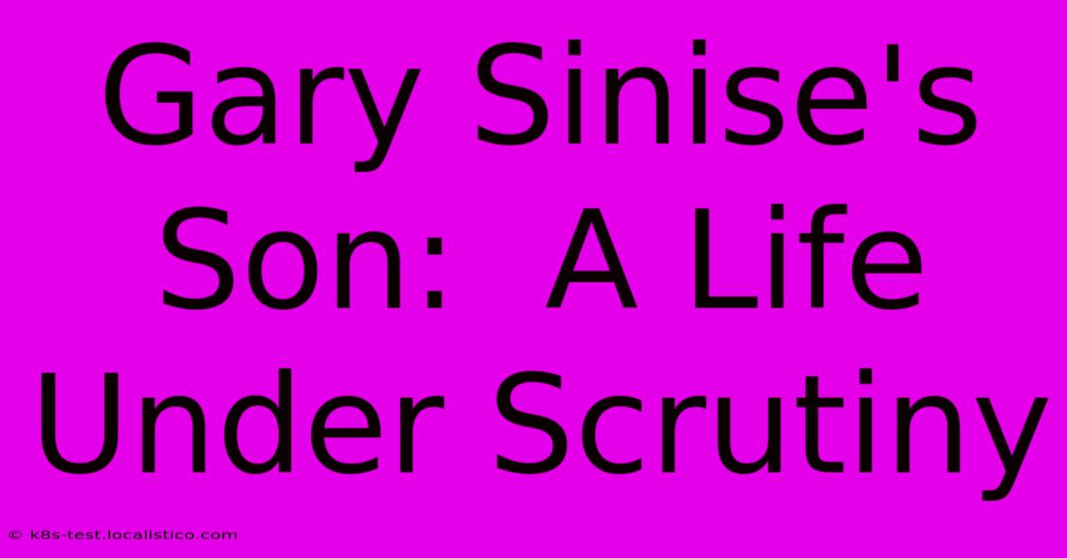 Gary Sinise's Son:  A Life Under Scrutiny