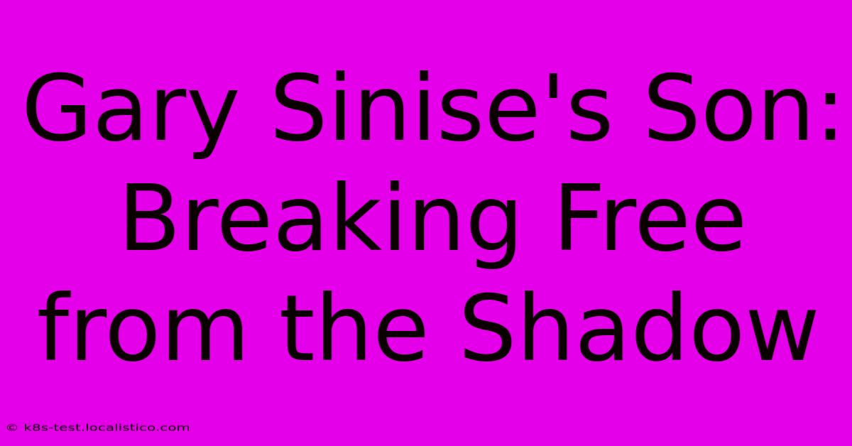 Gary Sinise's Son:  Breaking Free From The Shadow