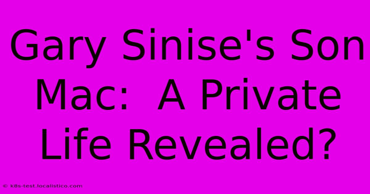 Gary Sinise's Son Mac:  A Private Life Revealed?