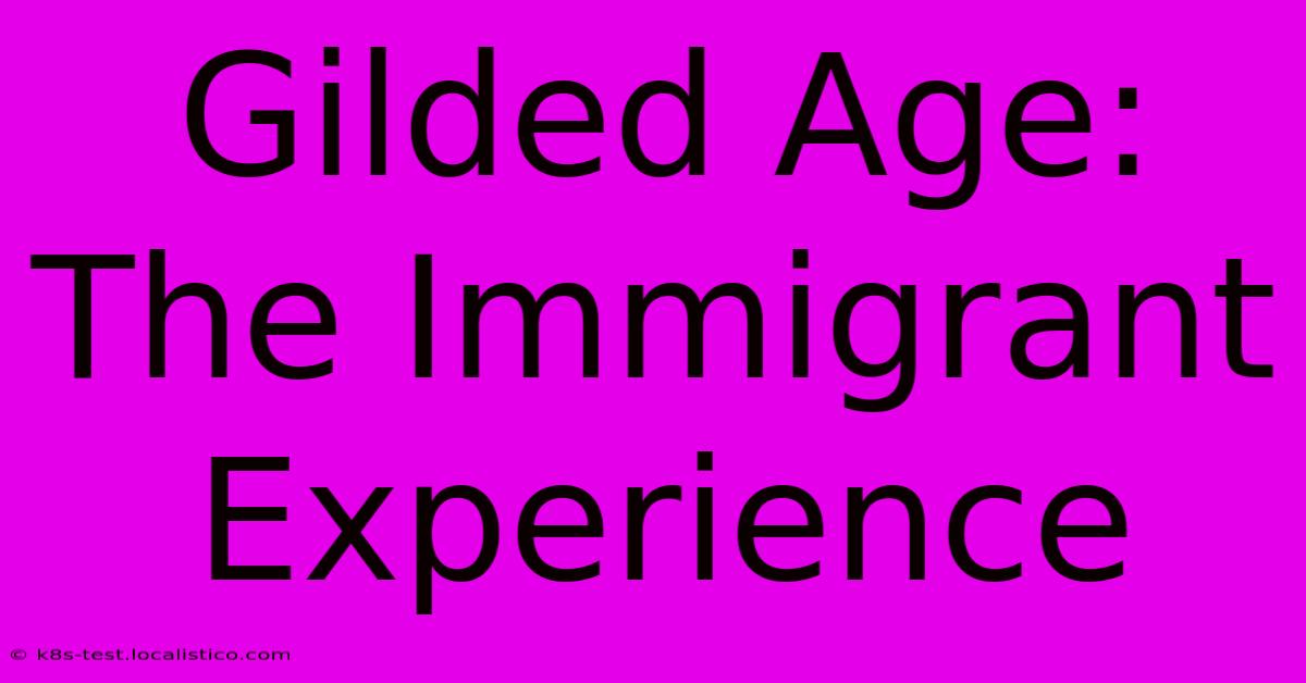 Gilded Age: The Immigrant Experience