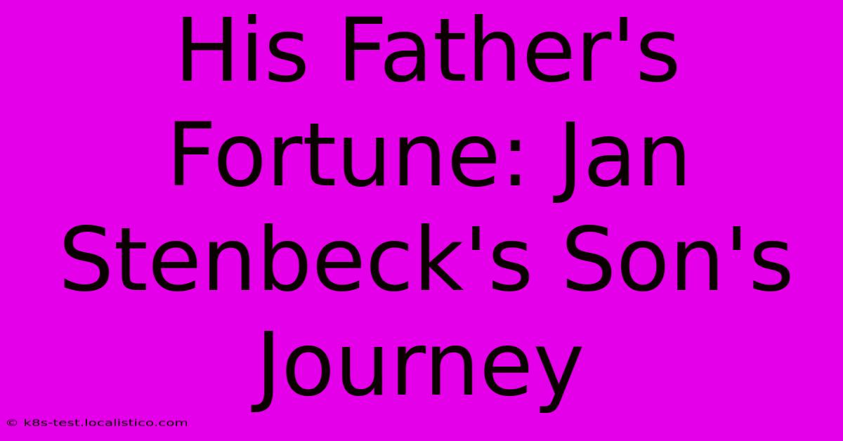 His Father's Fortune: Jan Stenbeck's Son's Journey