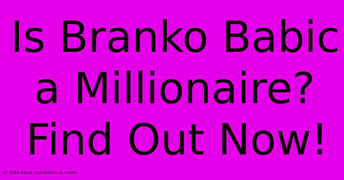 Is Branko Babic A Millionaire? Find Out Now!