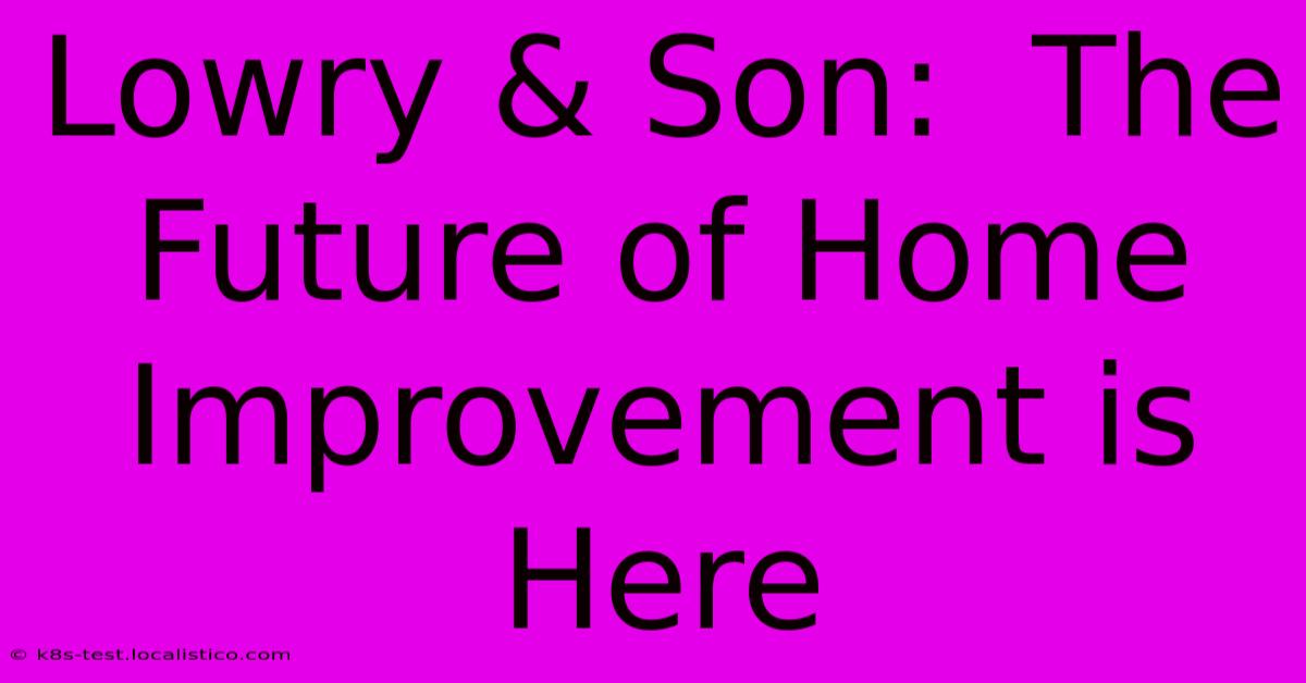 Lowry & Son:  The Future Of Home Improvement Is Here