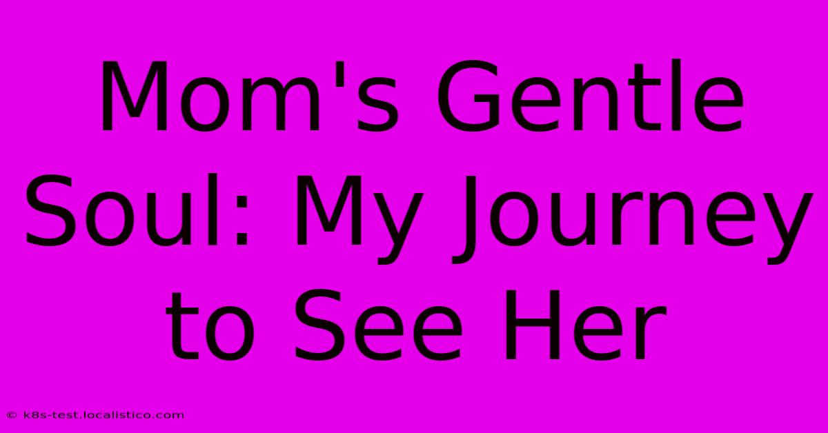 Mom's Gentle Soul: My Journey To See Her