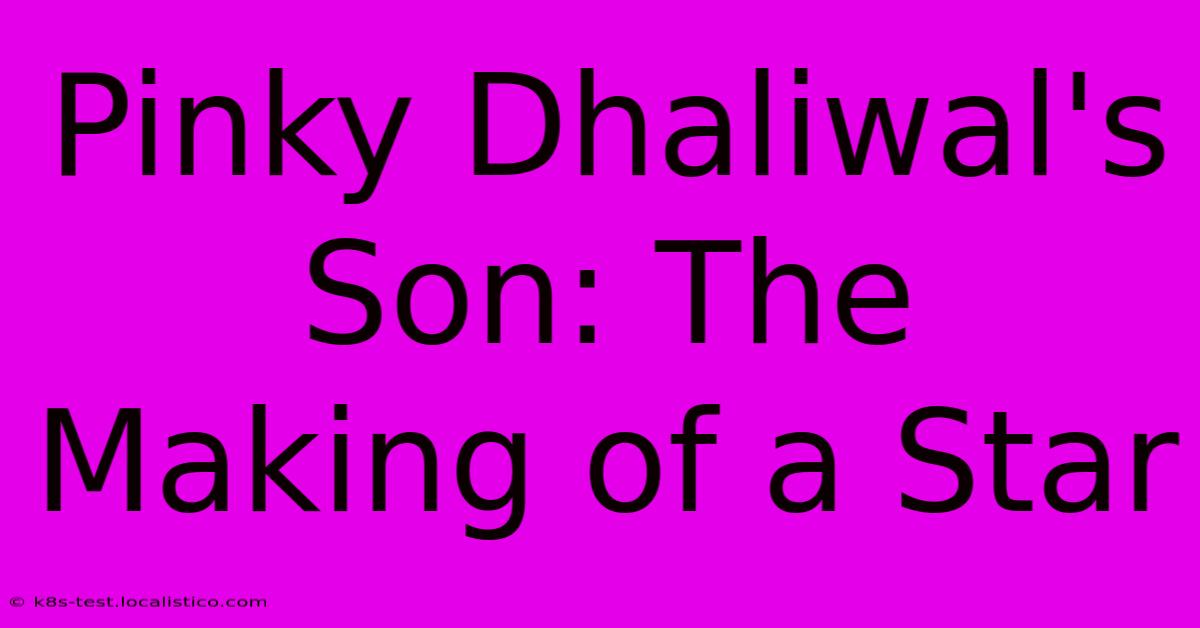 Pinky Dhaliwal's Son: The Making Of A Star