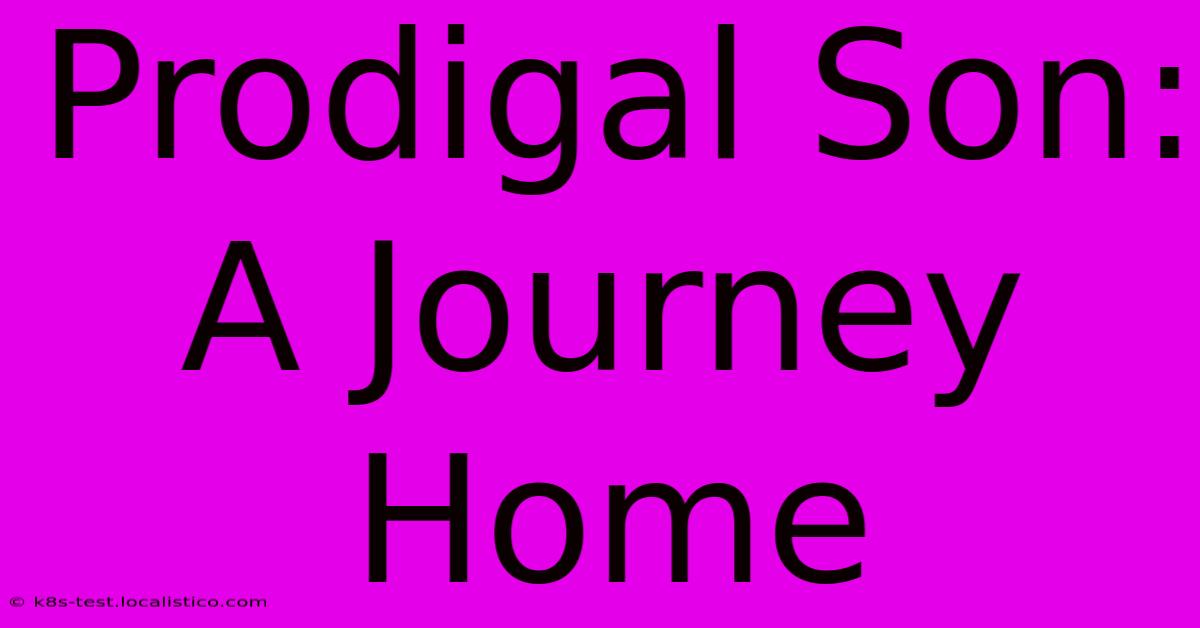 Prodigal Son:   A Journey Home