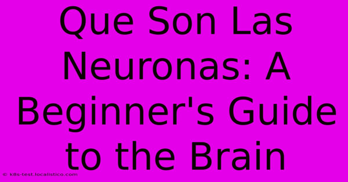 Que Son Las Neuronas: A Beginner's Guide To The Brain