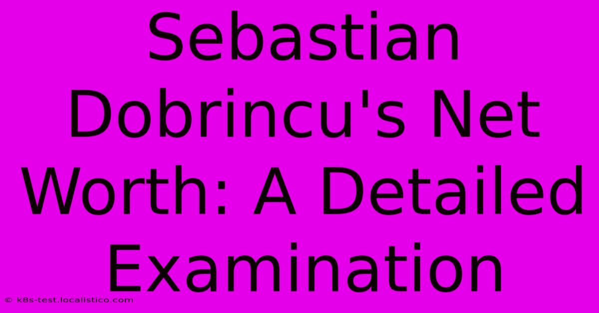 Sebastian Dobrincu's Net Worth: A Detailed Examination