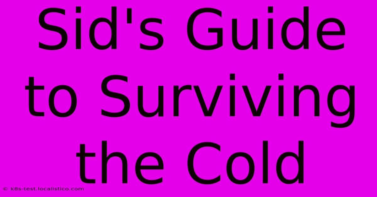 Sid's Guide To Surviving The Cold