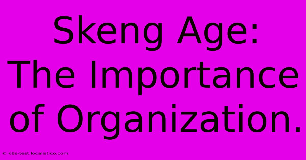 Skeng Age:  The Importance Of Organization.