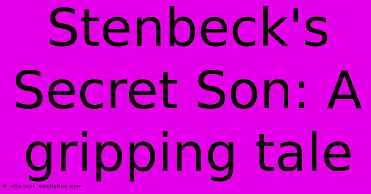 Stenbeck's Secret Son: A Gripping Tale