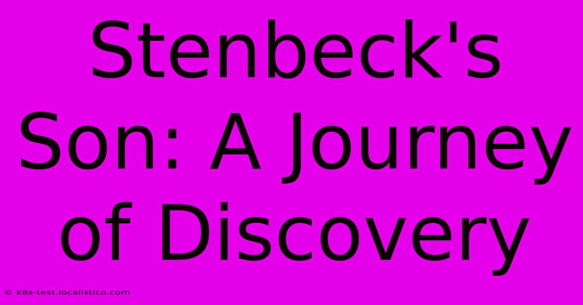 Stenbeck's Son: A Journey Of Discovery