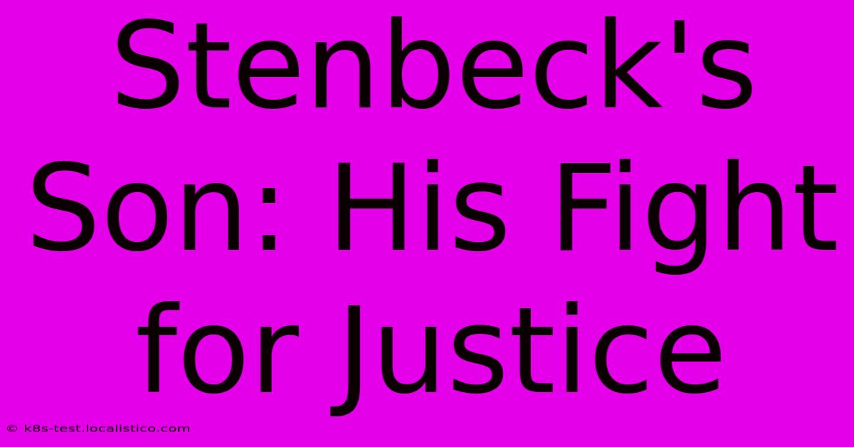 Stenbeck's Son: His Fight For Justice