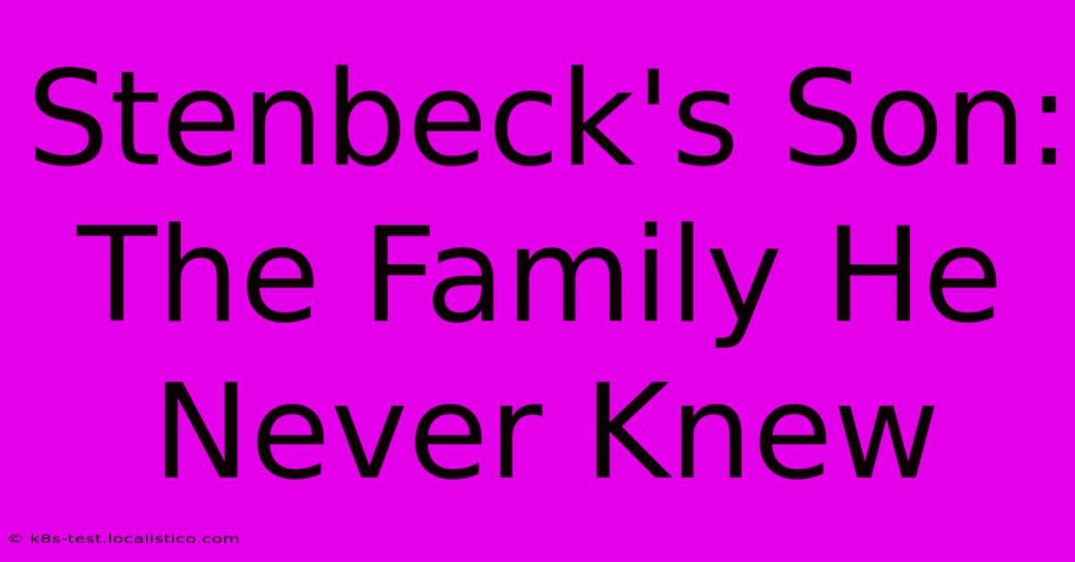 Stenbeck's Son: The Family He Never Knew