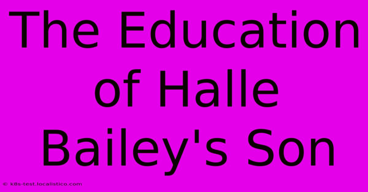 The Education Of Halle Bailey's Son