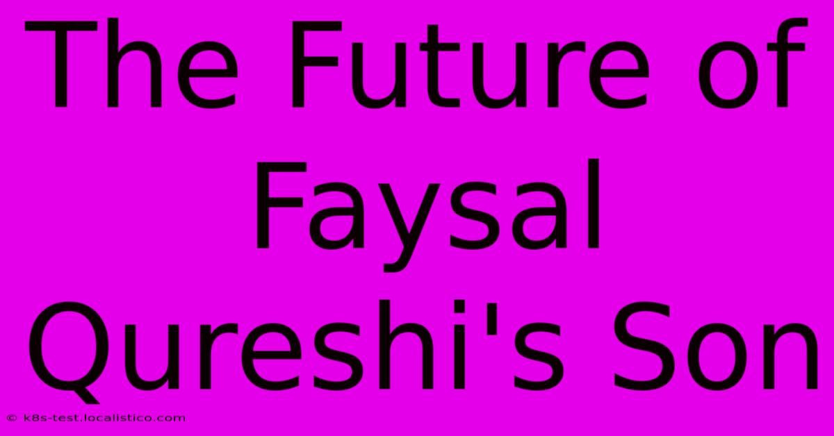 The Future Of Faysal Qureshi's Son