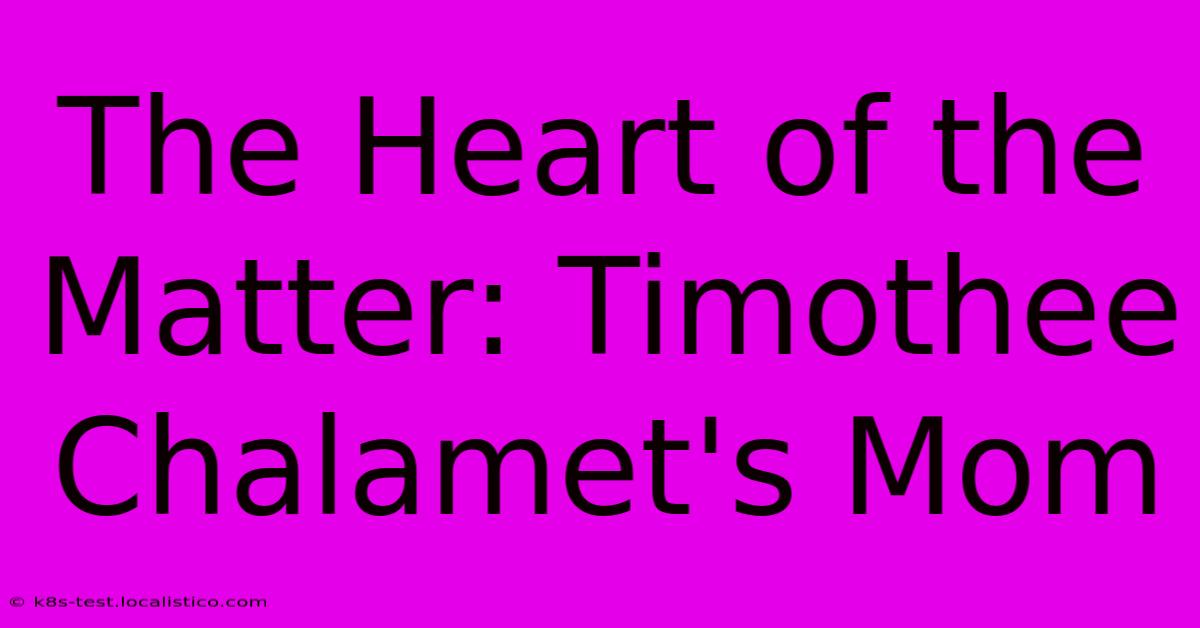 The Heart Of The Matter: Timothee Chalamet's Mom