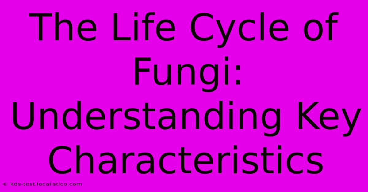 The Life Cycle Of Fungi: Understanding Key Characteristics