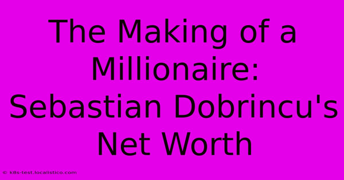 The Making Of A Millionaire: Sebastian Dobrincu's Net Worth