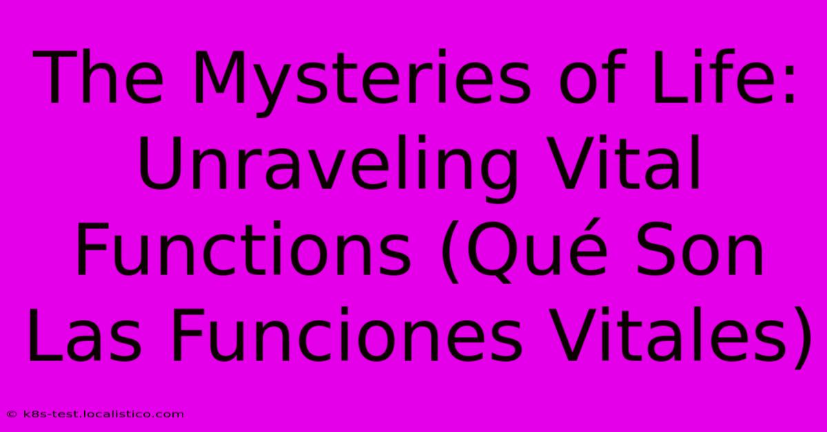 The Mysteries Of Life: Unraveling Vital Functions (Qué Son Las Funciones Vitales)