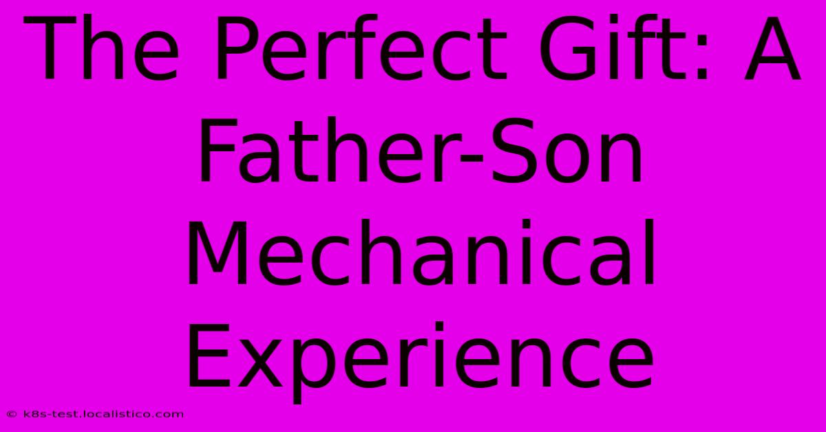 The Perfect Gift: A Father-Son Mechanical Experience