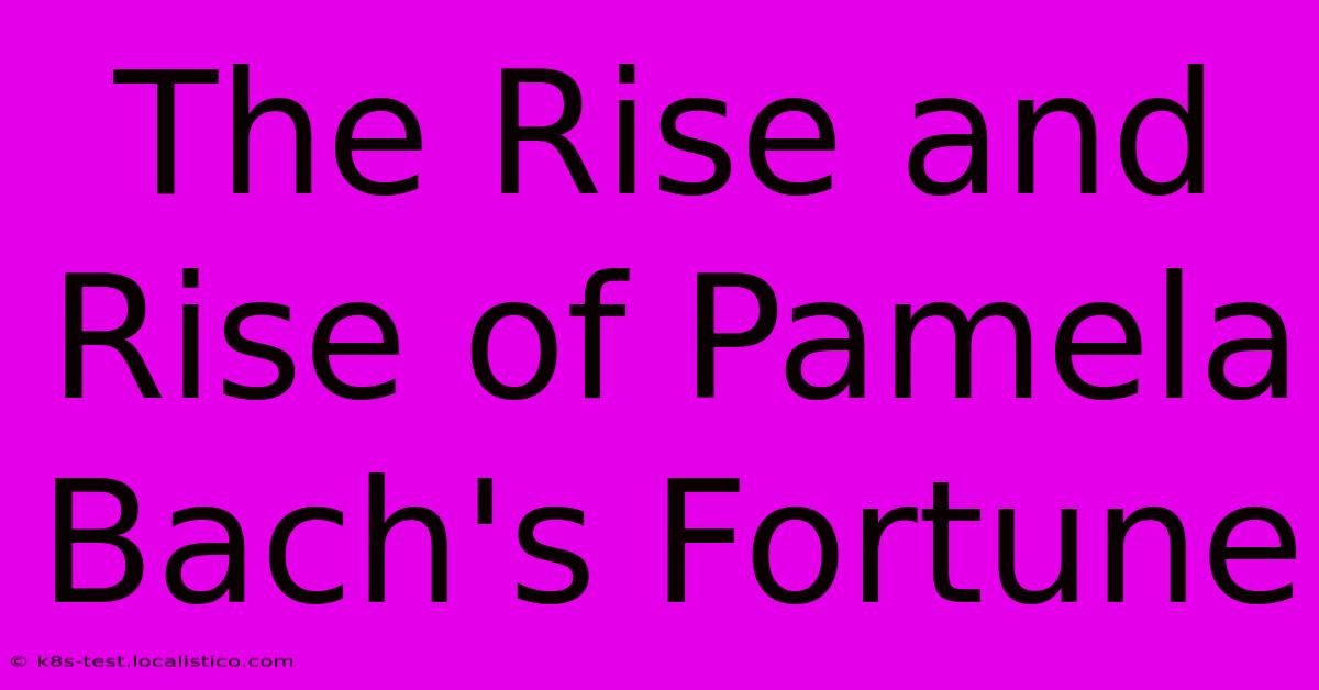 The Rise And Rise Of Pamela Bach's Fortune