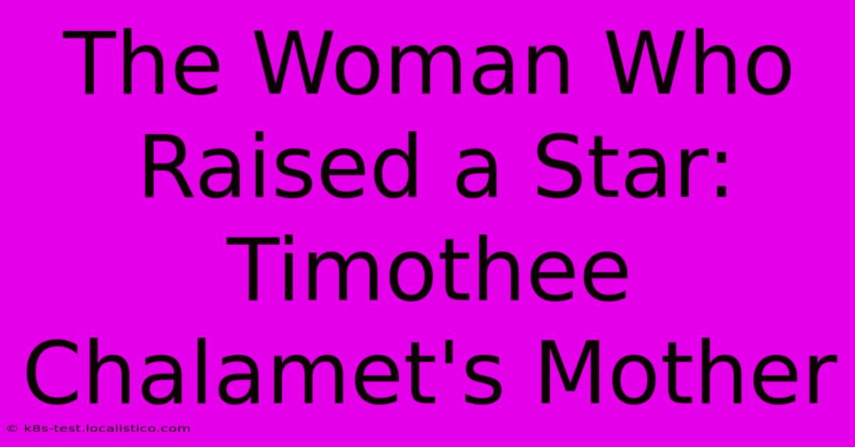 The Woman Who Raised A Star: Timothee Chalamet's Mother