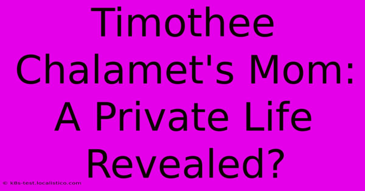 Timothee Chalamet's Mom: A Private Life Revealed?