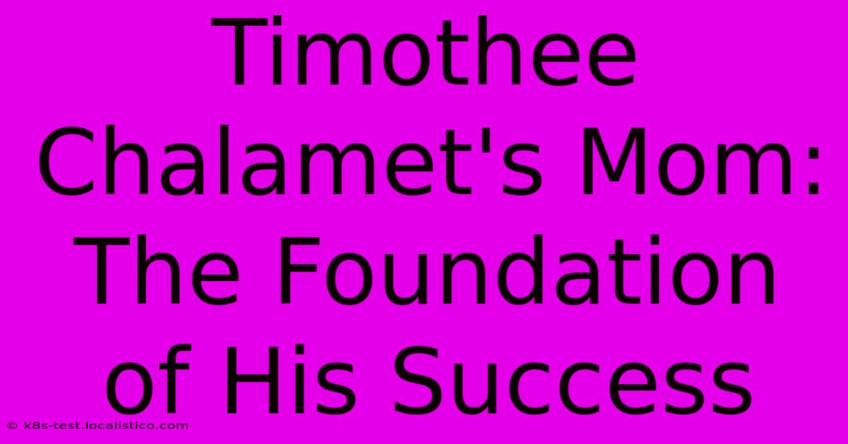 Timothee Chalamet's Mom: The Foundation Of His Success