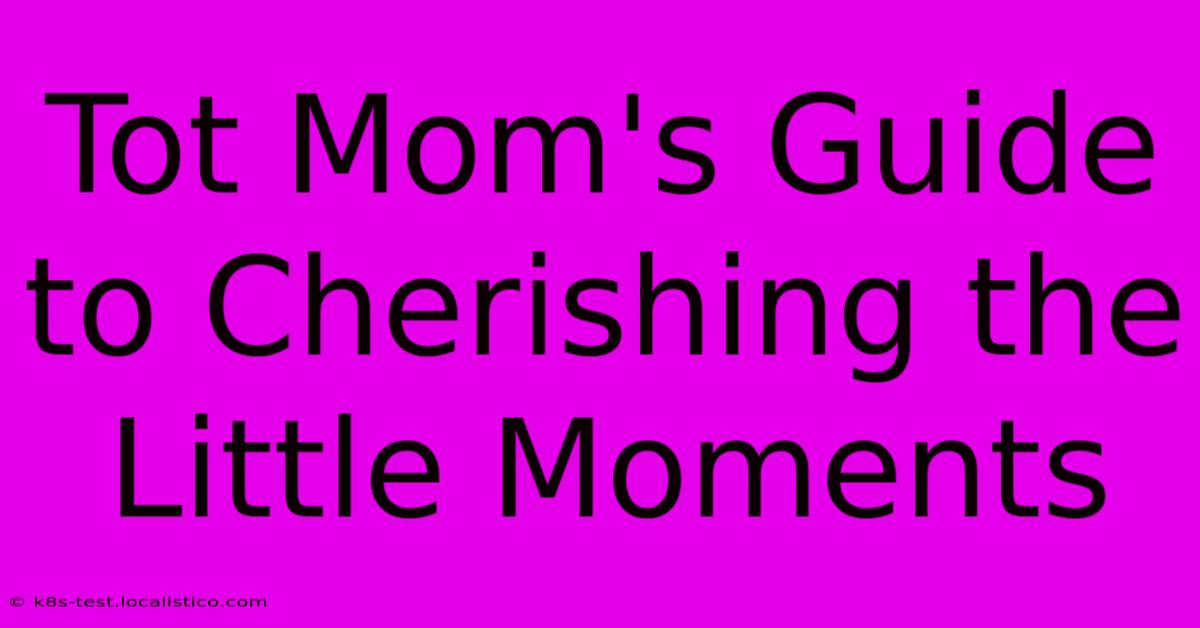 Tot Mom's Guide To Cherishing The Little Moments