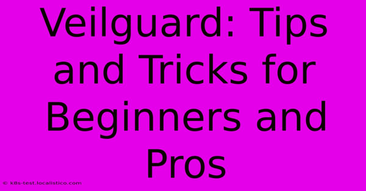 Veilguard: Tips And Tricks For Beginners And Pros