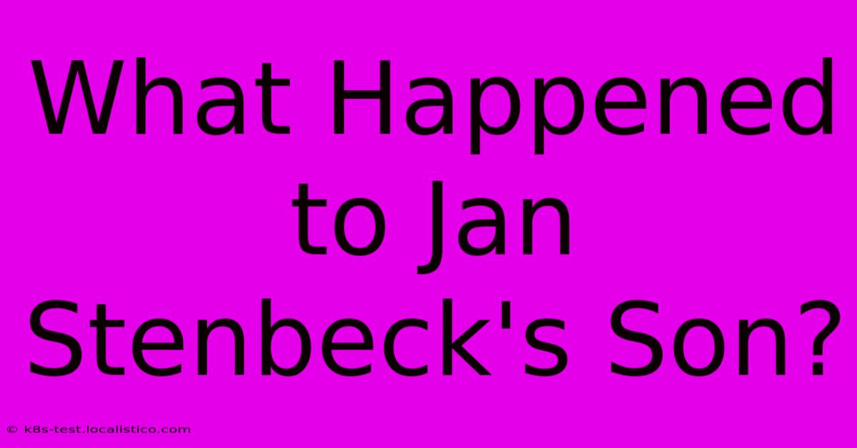 What Happened To Jan Stenbeck's Son?