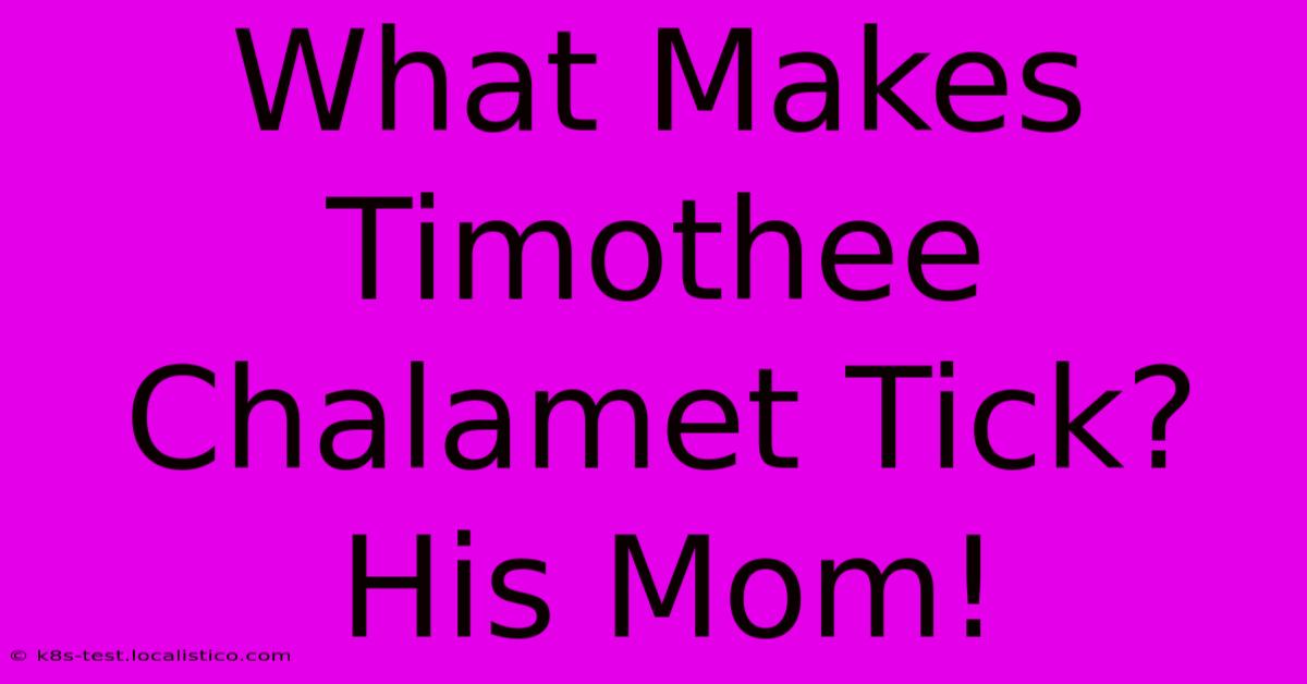 What Makes Timothee Chalamet Tick? His Mom!